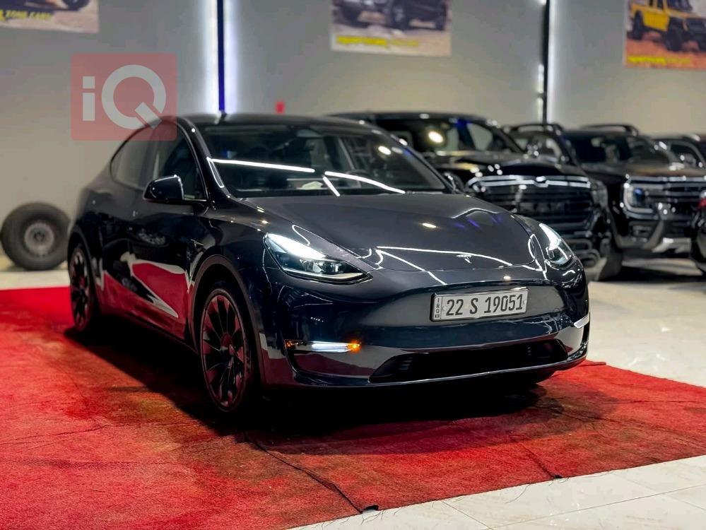 تسلا موديل Y